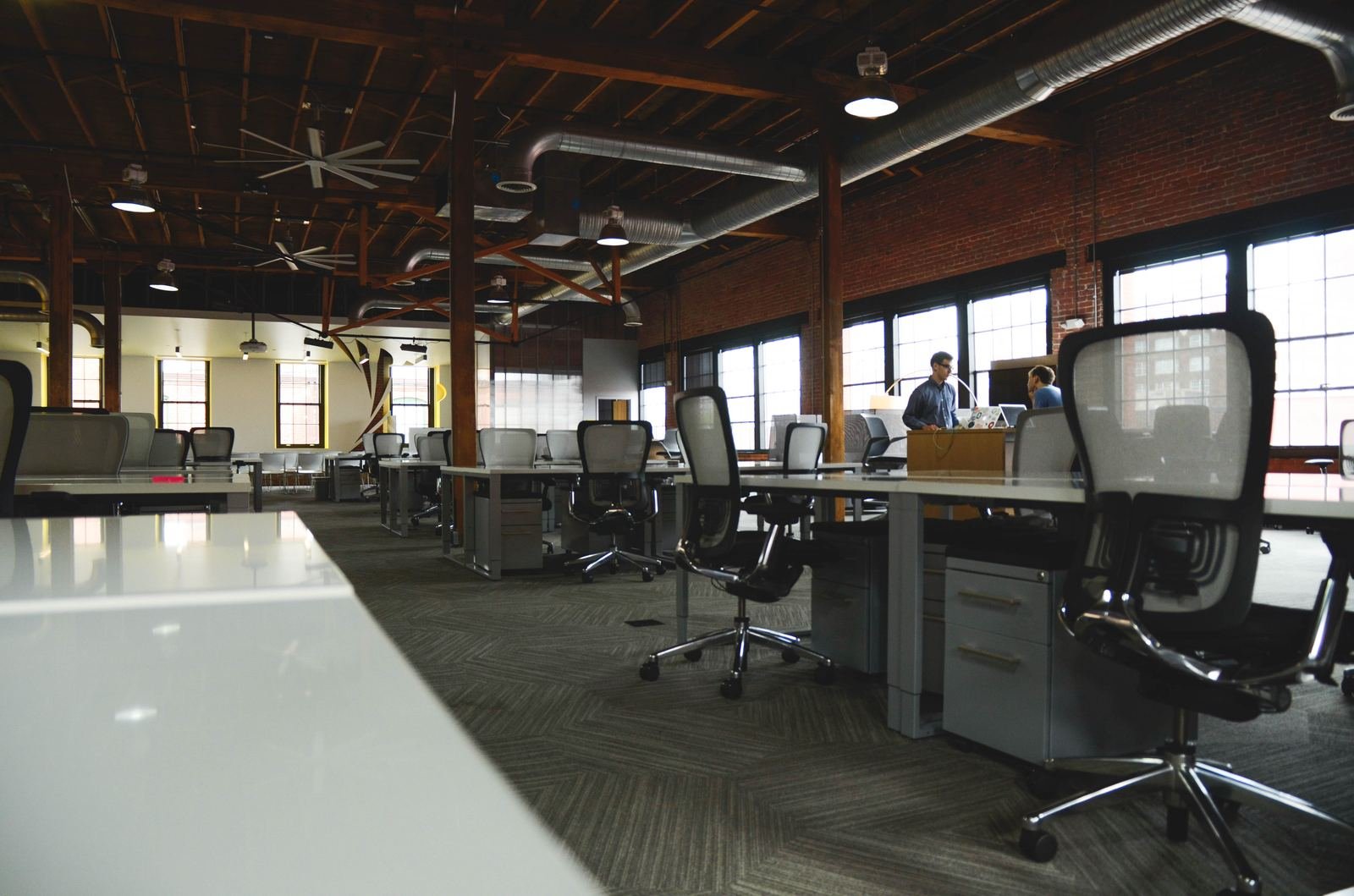 Startup ecosystems and mentorship